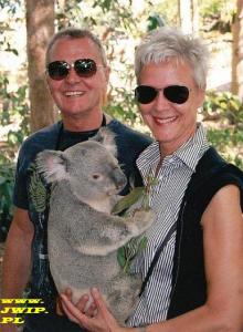 koala2.jpg